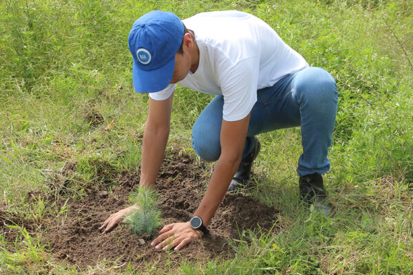 Reforestación